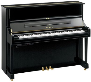 Yamaha U1 TA3 PE